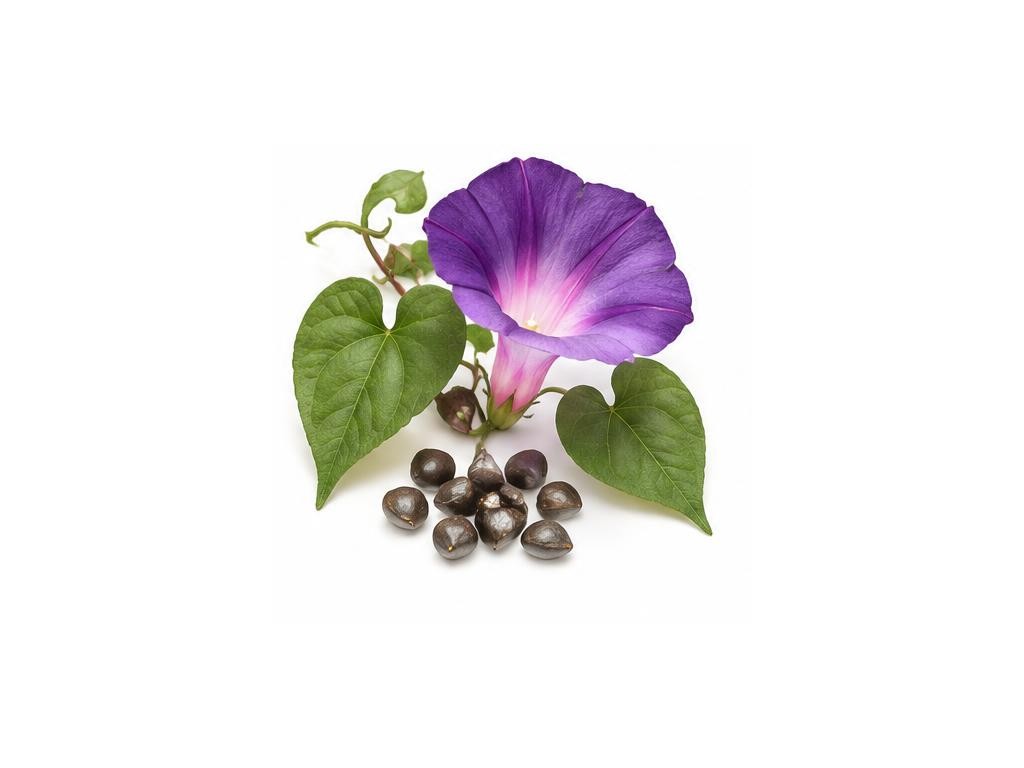 LSA / Ergine: distinct iridescent artistic representation, not for substance identification